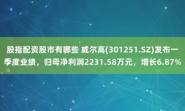 股指配资股市有哪些 威尔高(301251.SZ)发布一季度业绩,归母净利润2231.58万元,增长6.87%
