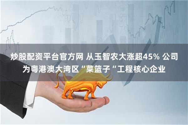 炒股配资平台官方网 从玉智农大涨超45% 公司为粤港澳大湾区“菜篮子“工程核心企业
