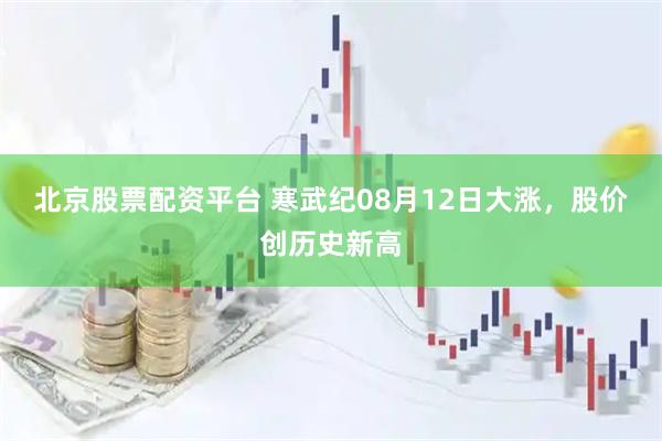 北京股票配资平台 寒武纪08月12日大涨，股价创历史新高