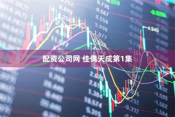 配资公司网 佳偶天成第1集